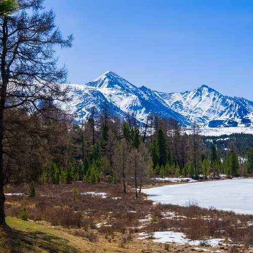 Photo #13561753