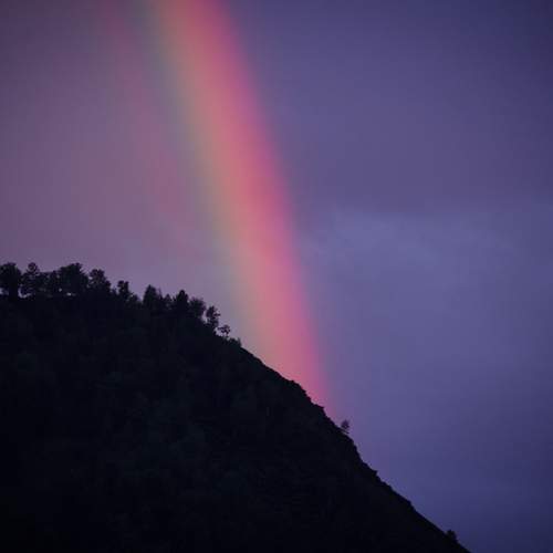 Photo #13561786