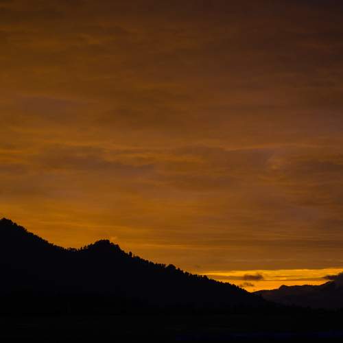 Photo #13561787