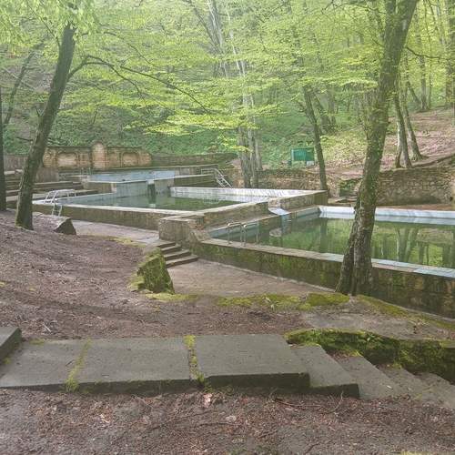 Photo #13561859