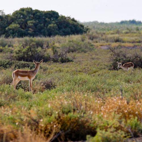 Photo #13561900