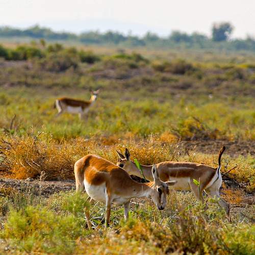 Photo #13561901