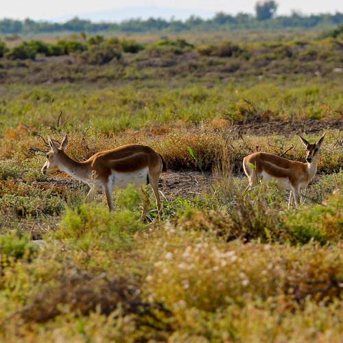 Photo #13561902