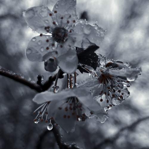 Photo #13561905
