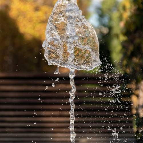 Photo #13562039