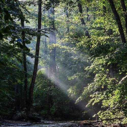 Photo #13562071