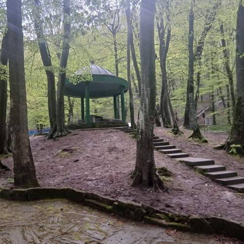 Photo #13562099