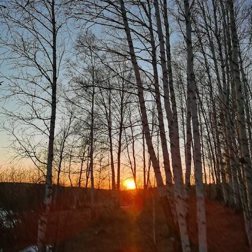 Photo #13562248