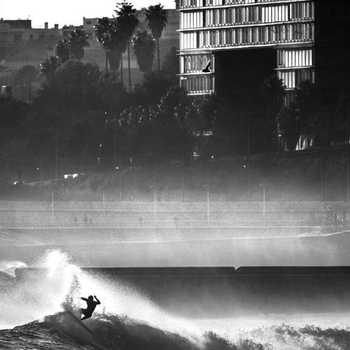 Photo #13562258