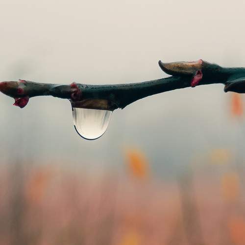 Photo #13562301