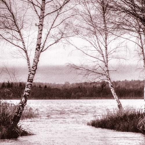 Photo #13562379
