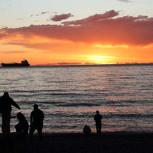 Photo #13562405