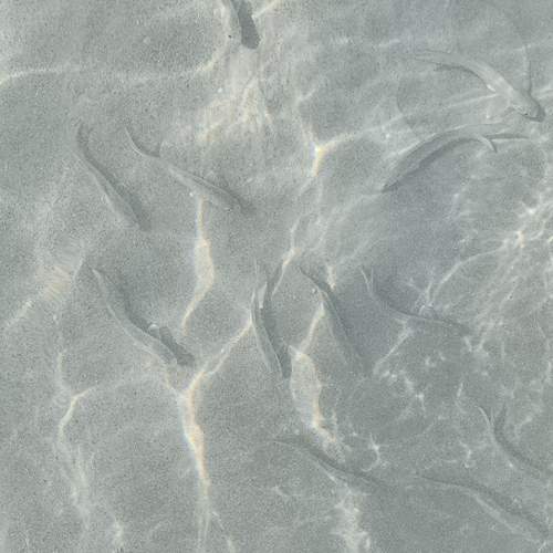 Photo #13562698