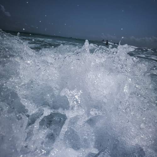 Photo #13562701