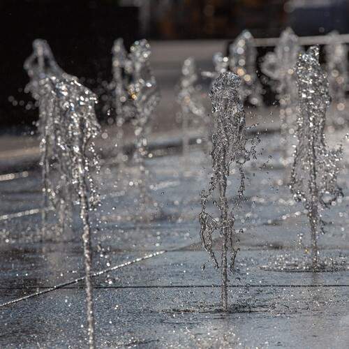 Photo #13563076