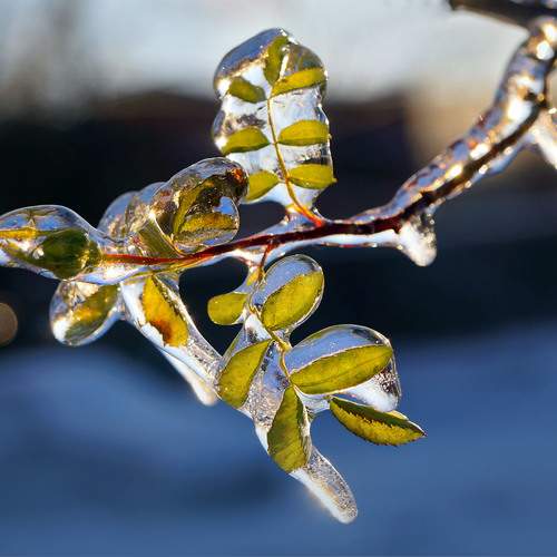 Photo #13563082