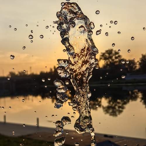 Photo #13563219