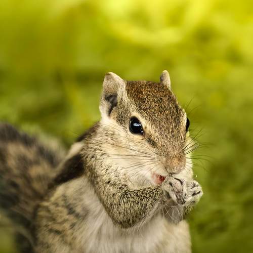 Photo #13563275
