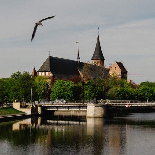 Photo #13563544