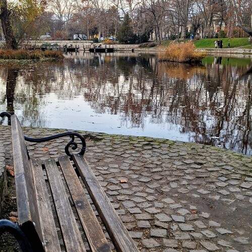 The Park Bench