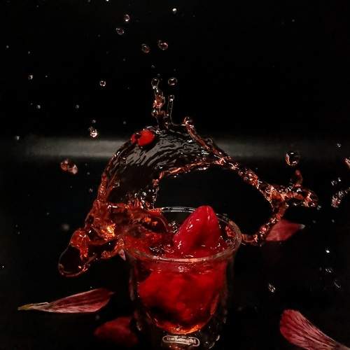 Photo #13563827