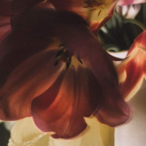 Photo #13563828