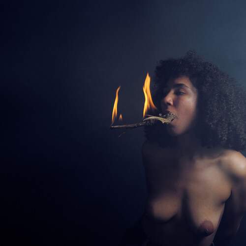 Photo #13563874