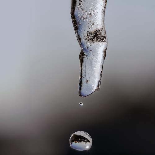 Photo #13563884