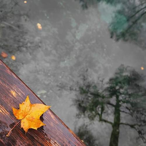Photo #13563895