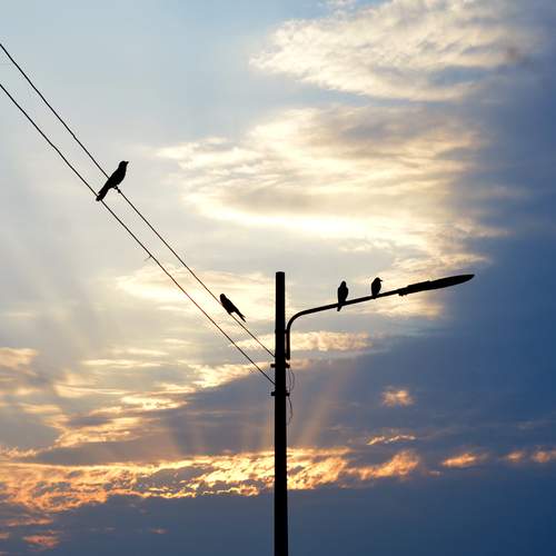 Photo #13564000