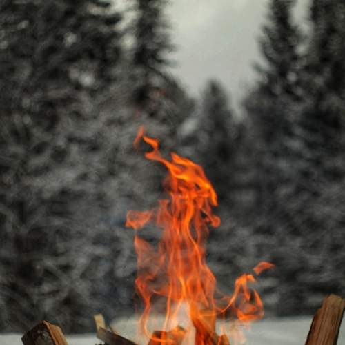 Photo #13564057