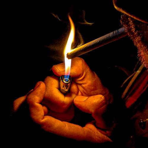 Photo #13564076