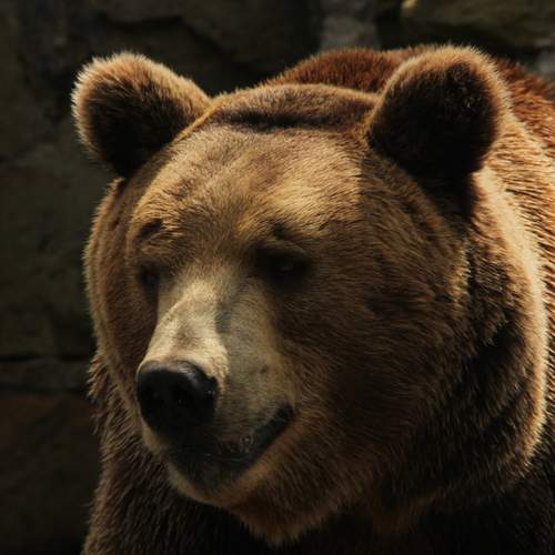 Photo #13564187