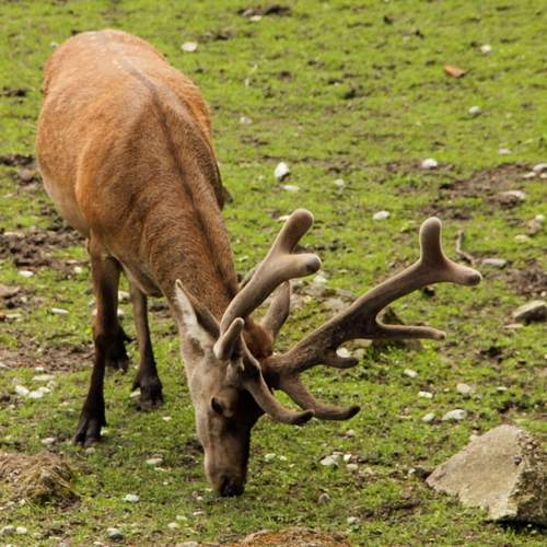 Photo #13564188