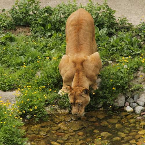 Photo #13564189