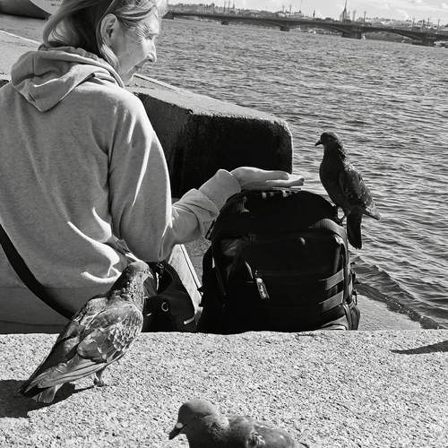 Photo #13564192
