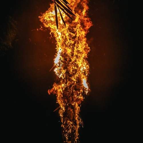 Photo #13564269