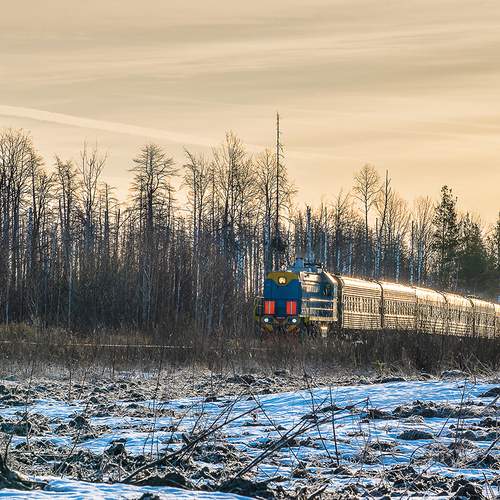 Photo #13564498
