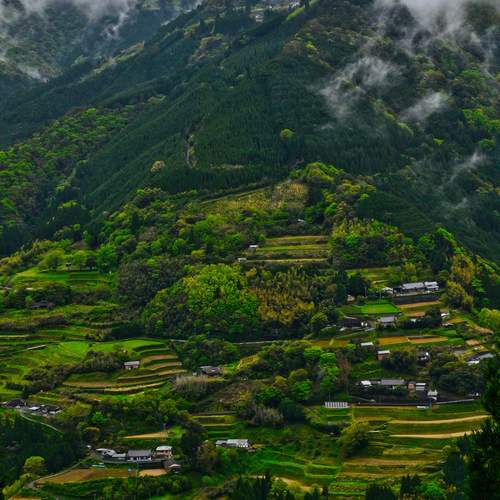 Layers of Green
