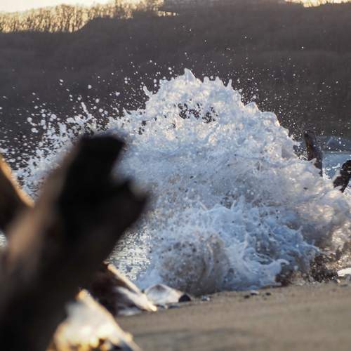 Photo #13564605