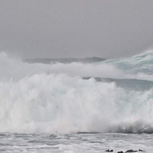 Photo #13564713