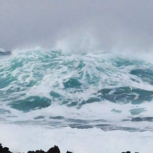 Photo #13564722