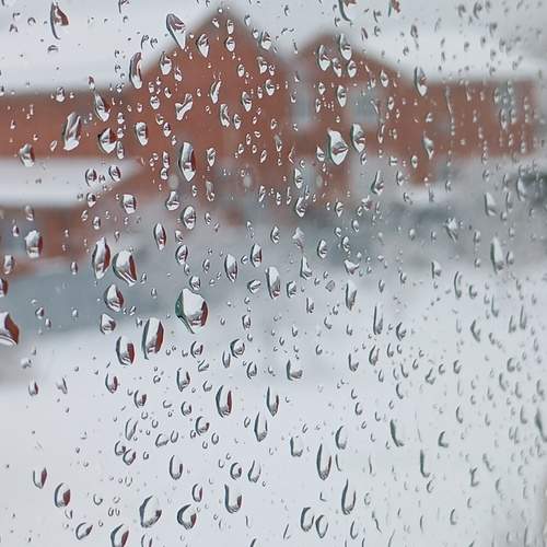 Photo #13565015