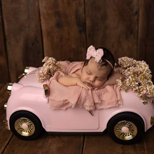 Photo #13565109