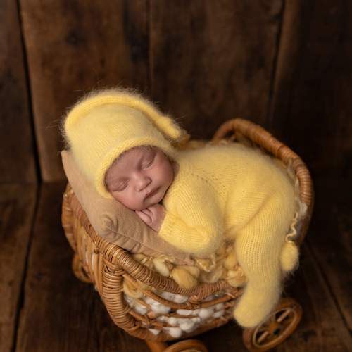 Photo #13565126