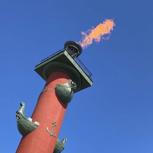 Photo #13565141
