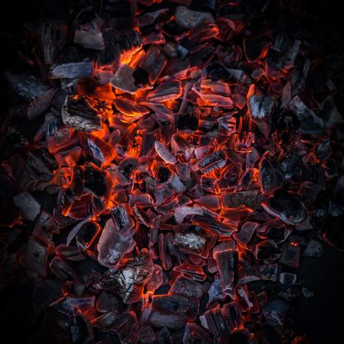 Photo #13565150