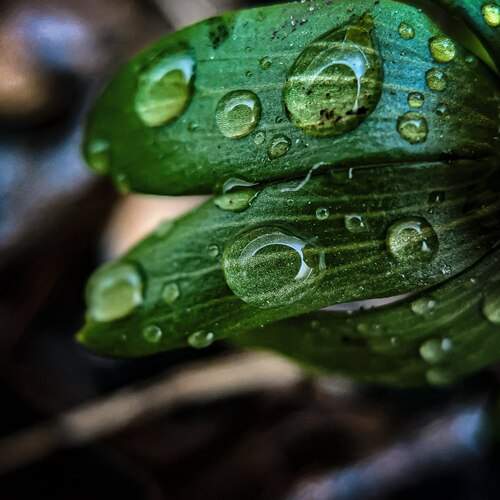 Photo #13565184