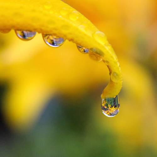 Photo #13565285