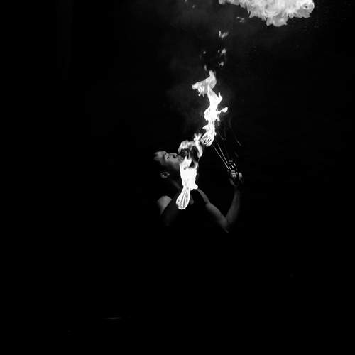 Photo #13565315